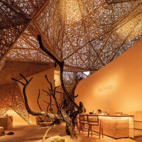 منتجات بامبو طبيعية